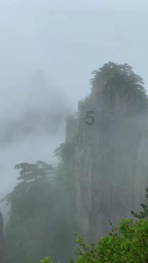 雷竞技比分